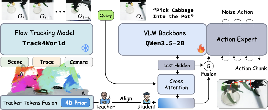 Track4Action model architecture